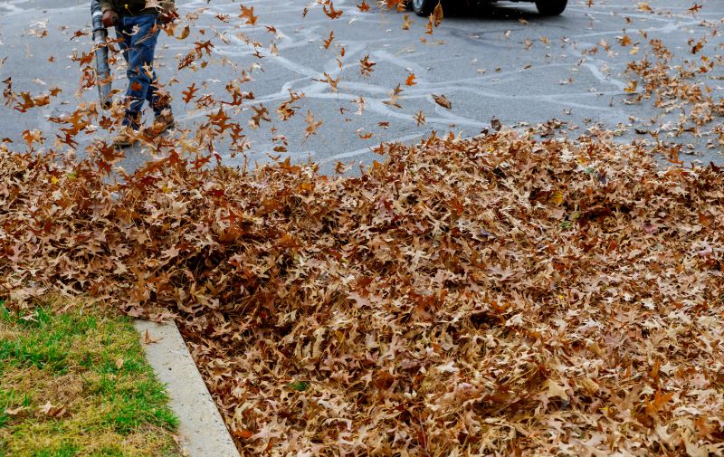 Blowing Leaves into Piles