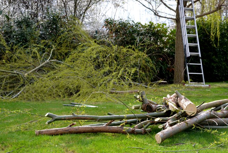 Fallen Tree Debris Cleanup